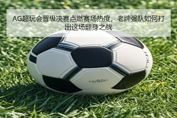 img_1780488809401_38_2_266.jpg